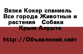 Вязка Кокер спаниель - Все города Животные и растения » Собаки   . Крым,Алушта